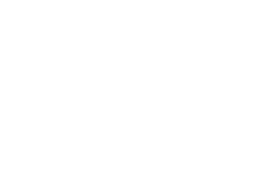 淨溪行動