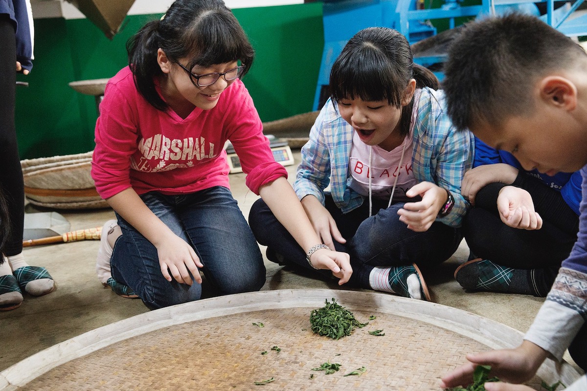 「Tian Fang Tea Store」 is the tea making family run by five generations in Sanxia doing production and sales in their own tea farm.  | Taipei Cultural experience | CAN Culture