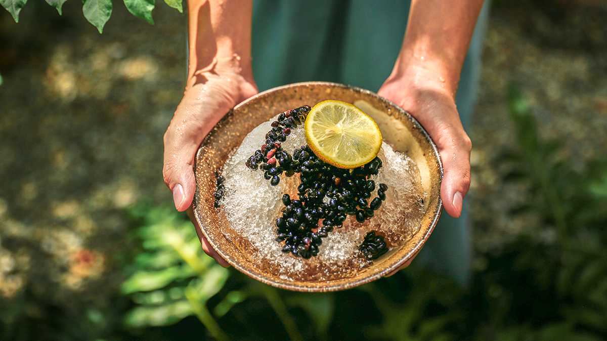 Refreshing Lemon Black Bean Shaved Ice | Taiwan domestic non-GMO soy milk shop | HIDEKAWA