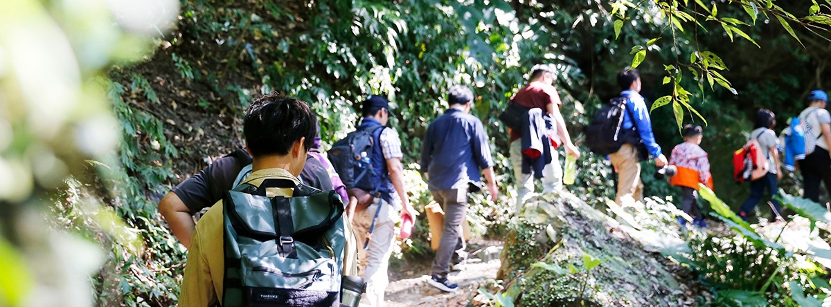 甘樂文創開辦一場「一日山林共創學習工作坊」，帶領藝術家們深入山林生態尋訪與創作之旅，透過拜訪山林從中找出創作靈感，並且在夜間參與由三峽哇蛙兵的護蛙團隊帶領的護蛙行動導覽，藉由這一連串的活動參與，讓藝術家們將其經驗融入作品中，呈現出多樣媒材豐富的藝術表現與大自然的型態融合，激盪出更多山林的想像、靈感創作，並探索人與大自然之間的緊密關係！ | 甘樂文創 | 甘之如飴，樂在其中