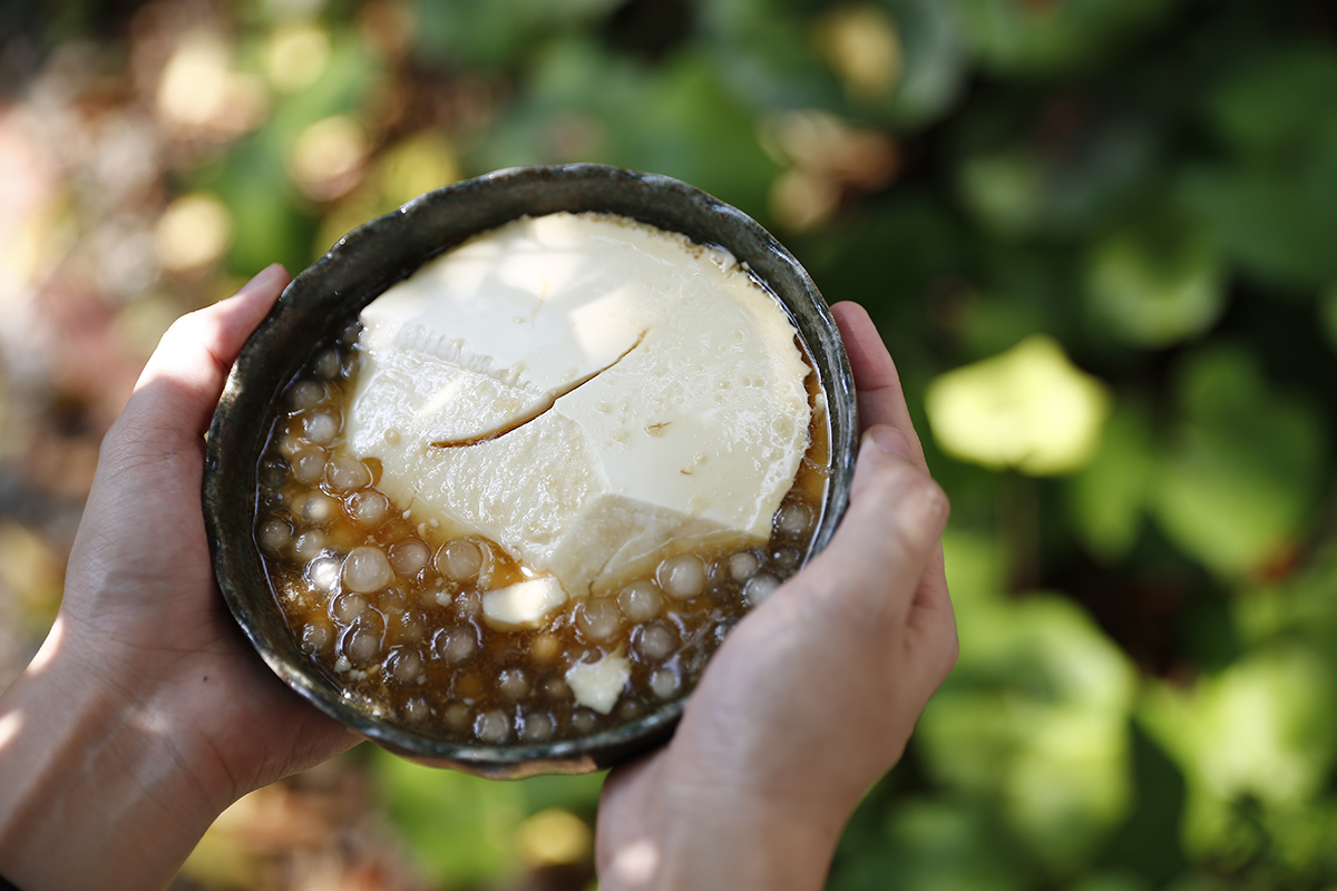 益菌優豆花  全台獨家，滿滿好菌的益菌優豆花，搭配檸檬、冬瓜露再加入Q彈珍珠，一碗滿滿飽足感 | 改變生命的豆漿店