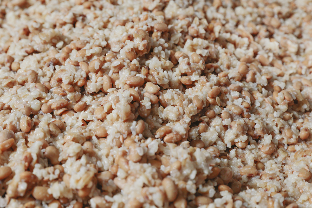 米麴  選用花蓮羅山臺灣白米，浸泡、蒸熟後，利用播散、翻攪散熱，或以熱水蒸氣升溫，為的就是讓溫度與濕度維持在最理想的狀態。如此悉心照料三、四天，一刻都不得粗心。 | 禾乃川國產豆製所 | 改變生命的豆漿店