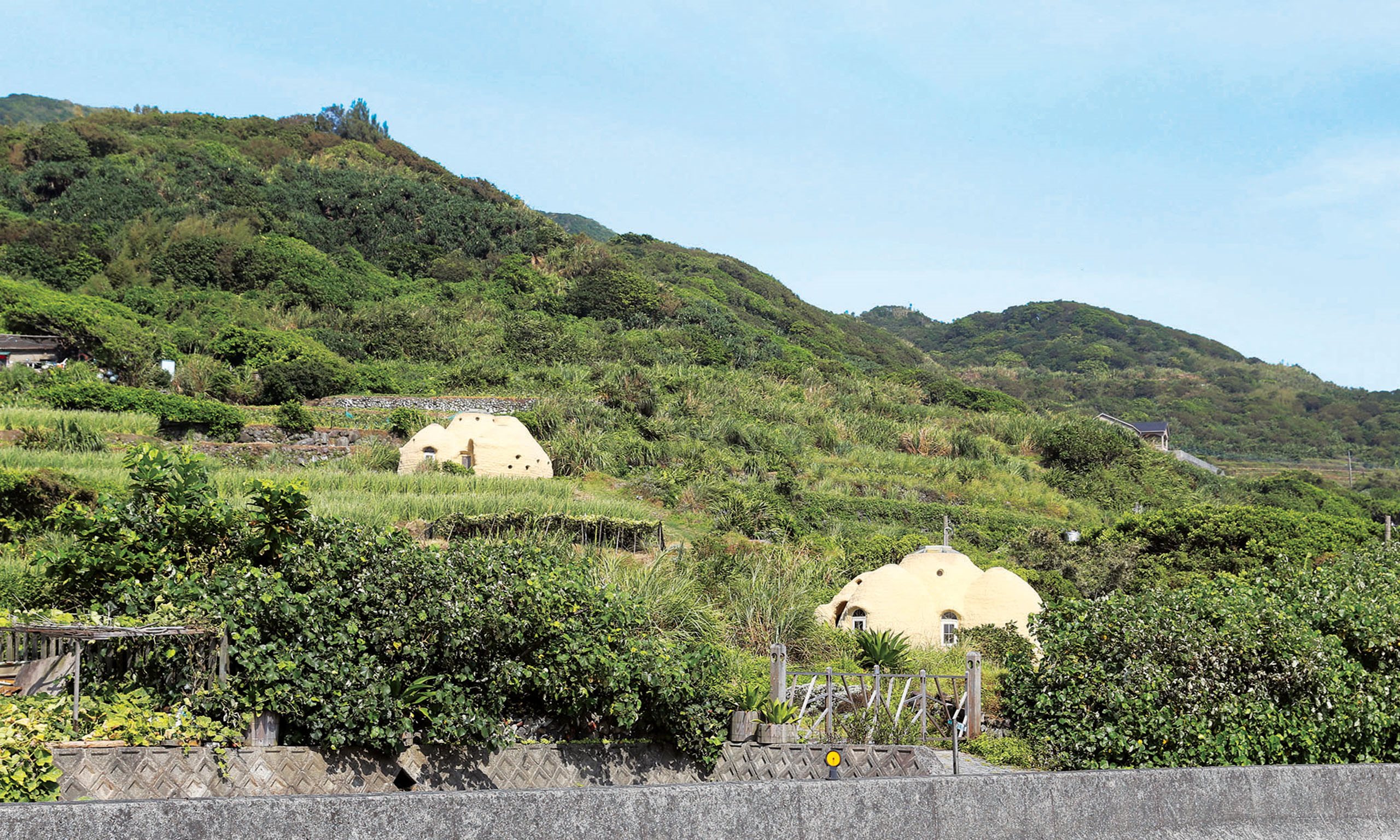 為大自然尋回海洋 / 金山「度咕屋」何俊賢