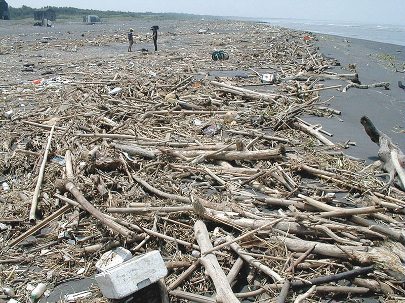 宜蘭沿海的美麗沙灘，有時候會被垃圾佔據。吳敏顯／攝.jpg