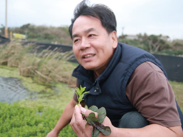 [三芝] 蟹肥筍甜，三芝角白筍與蟹共生蟹 / 蟹農場的主人 呂文華