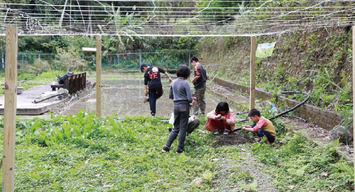 甘樂文創執行長林峻丞，發現社區裡有一群高關懷、低學習成就的孩子。從此開啟了一場沒有退場機制的陪伴，隨著時間的累積，伴隨著孩子們成長，也慢慢的在他們的心裡埋下一顆希望的種子，開啓屬於他們的夢想，灌溉未來的每一天，持續的成長茁壯。 | 小草書屋 | 沒有退場機制的陪伴