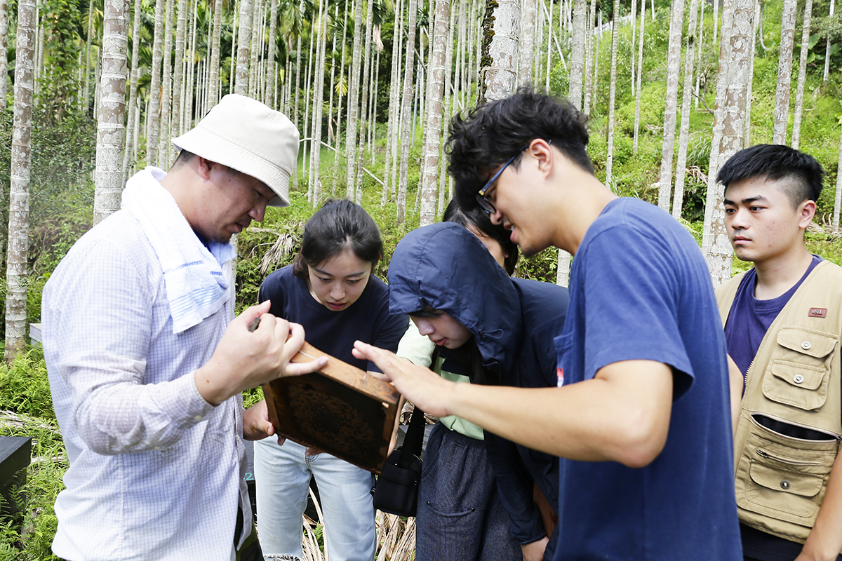 陳大哥出身養蜂世家，爺爺和父親都是專業的養蜂人，大學畢業後從是人人稱羨的工程師工作，有著很好的光環和薪水，但每日早出晚歸，時間久了，讓工作四五年的他，不斷出現聲音詢問自己，「這是不是我想要的生活？」，加上父親病逝，想要回家照顧獨立養蜂的母親，在這樣的契機裡才真正的讓陳大哥決定，提起勇氣放下工程師的工作，返鄉投入養蜂人的事業裡。 | 甘樂文創 | 甘之如飴，樂在其中