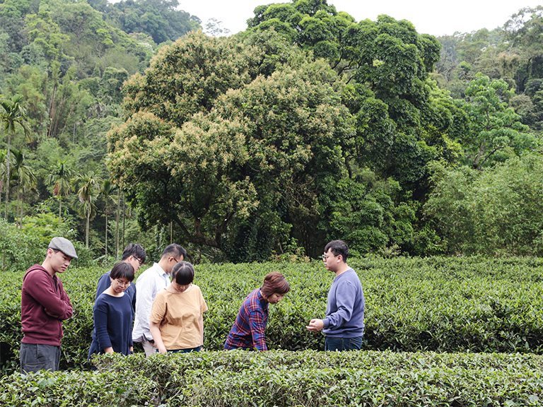 Tea Making Experience DIY Activities - Taipei Top1 one-day tour in Sanxia