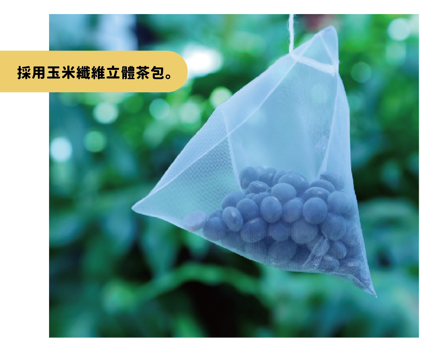 Taiwan local non-GMO green kernel black beans, hand-roasted with fine fire | Taiwan domestic non-GMO soy milk shop | HIDEKAWA