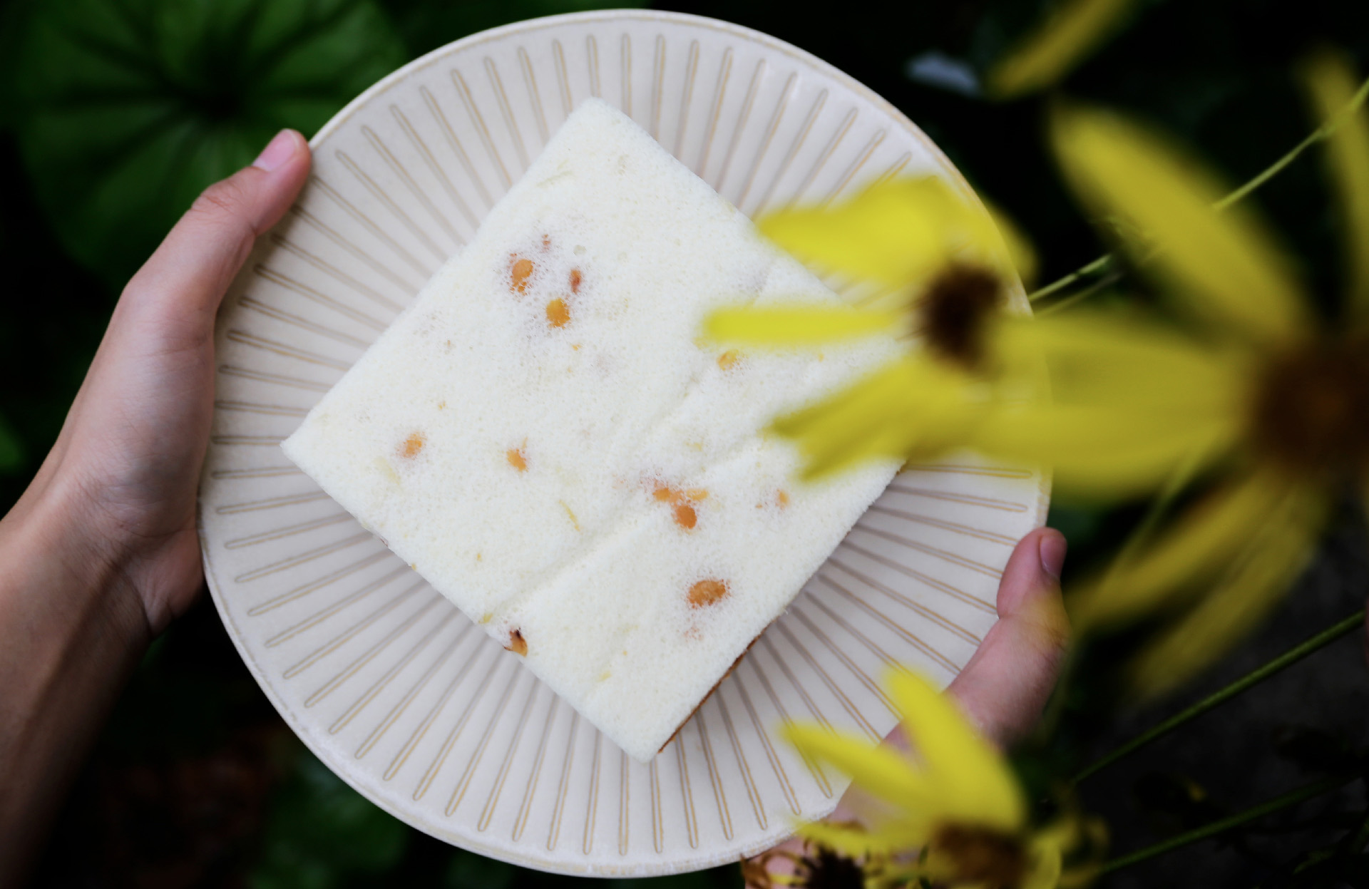 豆乳天使蛋糕包裹著禾乃川國產豆製所蜜漬的台灣黃豆以及純濃黃豆漿，不添加一滴水的美味，將黃豆的香氣完美封存，每一口都能品嚐到鬆軟的蜜製黃豆與濃濃豆香，白如天使的蛋糕體，綿密柔軟又帶點濕潤飽滿的口感，滑順細緻，爽口不膩的清新風味。療癒人心的溫馨手作烘焙 | 小草書屋職研烘焙坊