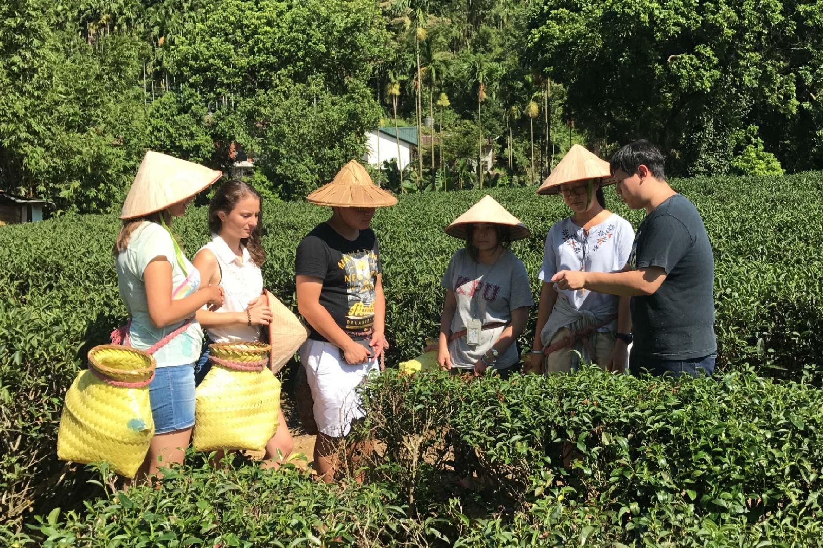 甘樂文創用最專業的導覽，帶您實際體驗傳統木匠工藝之美；甘樂文旅帶您走進充滿古典雅致的三峽老街，配合導覽和體驗藍染，寓教於樂，就在甘樂；我們結合三峽傳統產業的技職人，跨界合作推出秘境良食之旅DIY鹽滷豆腐及釀酵米麴味噌體驗。 | 甘樂文創 | 甘之如飴，樂在其中