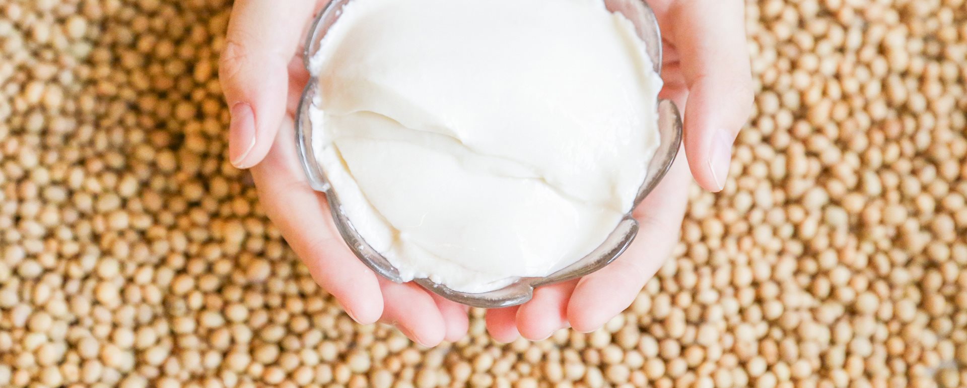 豆漿優格哪裡買？禾乃川國產豆製所豆漿優格加入多種優質菌種，營養滿分