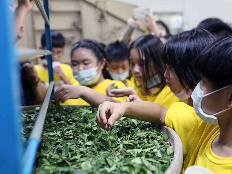 小小茶職人ｘ天芳茶行ｘ樂山陶藝｜職人小學堂