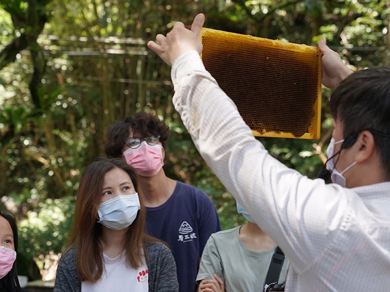 蜜境探險ｘ蜂樺蜂蜜專賣店｜職人小學堂