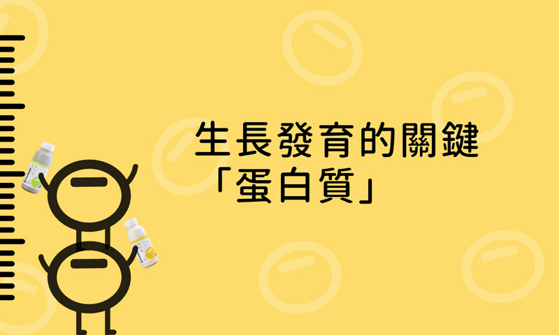 根據報導的指出，蛋白質對於骨骼的形成和發育至關重要。它不僅是骨骼組織的組成部分，還參與了許多關鍵的生理過程，如鈣質的吸收和利用。因此，確保孩子每天攝取足夠的蛋白質，尤其是高品質的植物性蛋白質，是促進骨骼健康和全面發育的重要一環。 | 改變生命的豆漿店 | 禾乃川國產豆製所