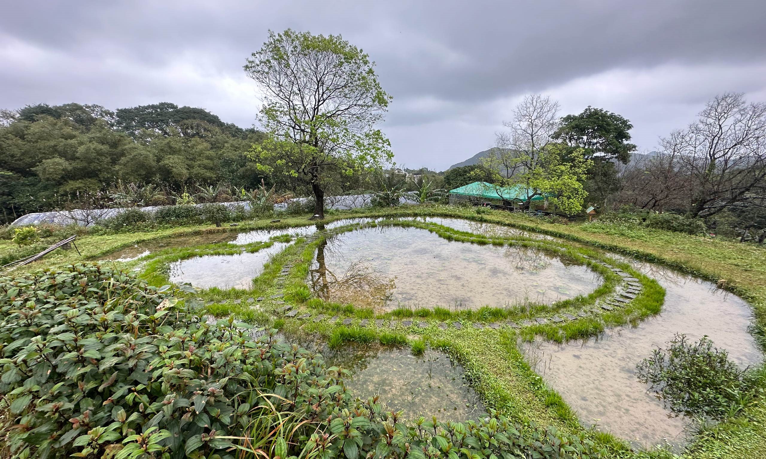 農稼探險日記：東北角的「山」、「海」秘境