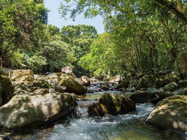 農稼探險日記：新北後花園 納涼避暑地