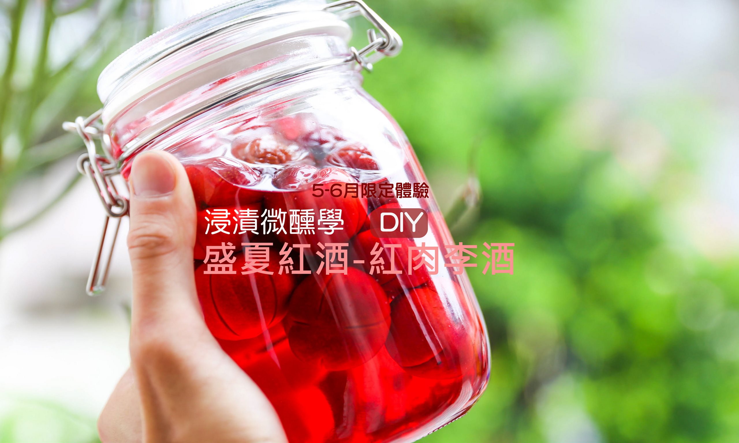 盛夏紅酒-紅肉李酒六月限定開釀了!
