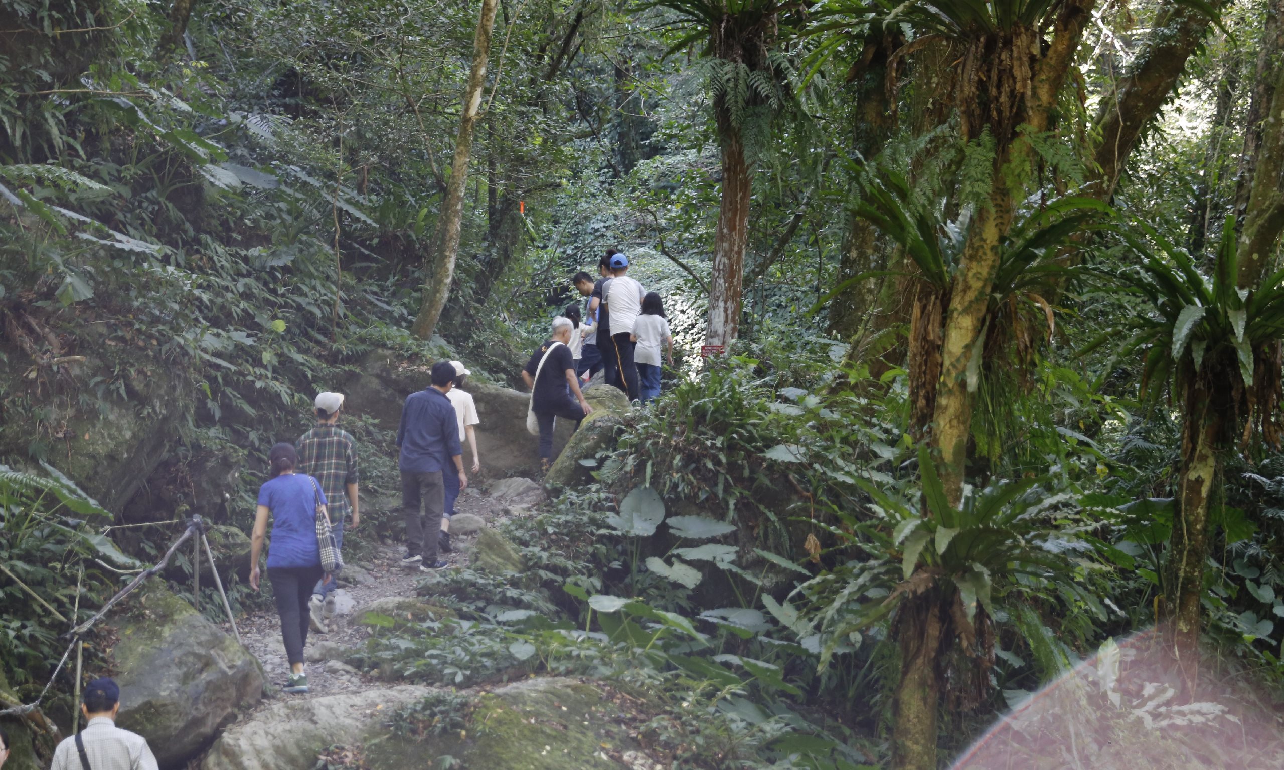 台灣三峽 | 三峽甘樂文化輕旅遊