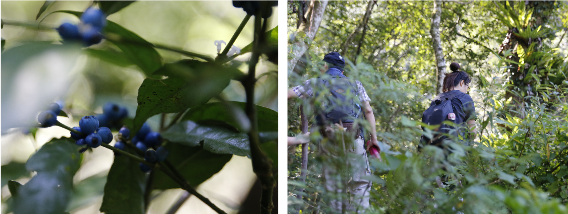 山林_工作區域 1_工作區域 1.jpg