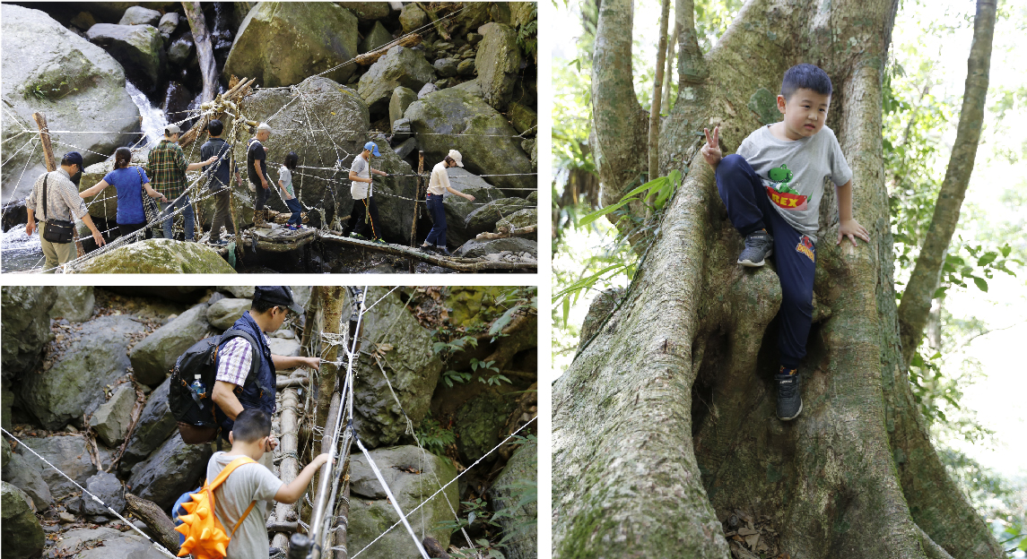 攀樹_工作區域 1_工作區域 1_工作區域 1.jpg