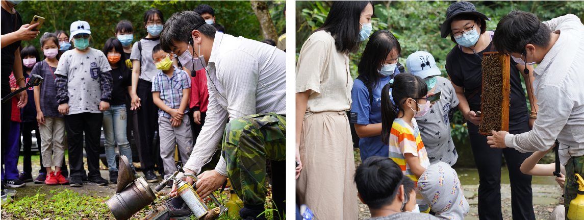 蜜蜂_工作區域 1_工作區域 1_工作區域 1.jpg