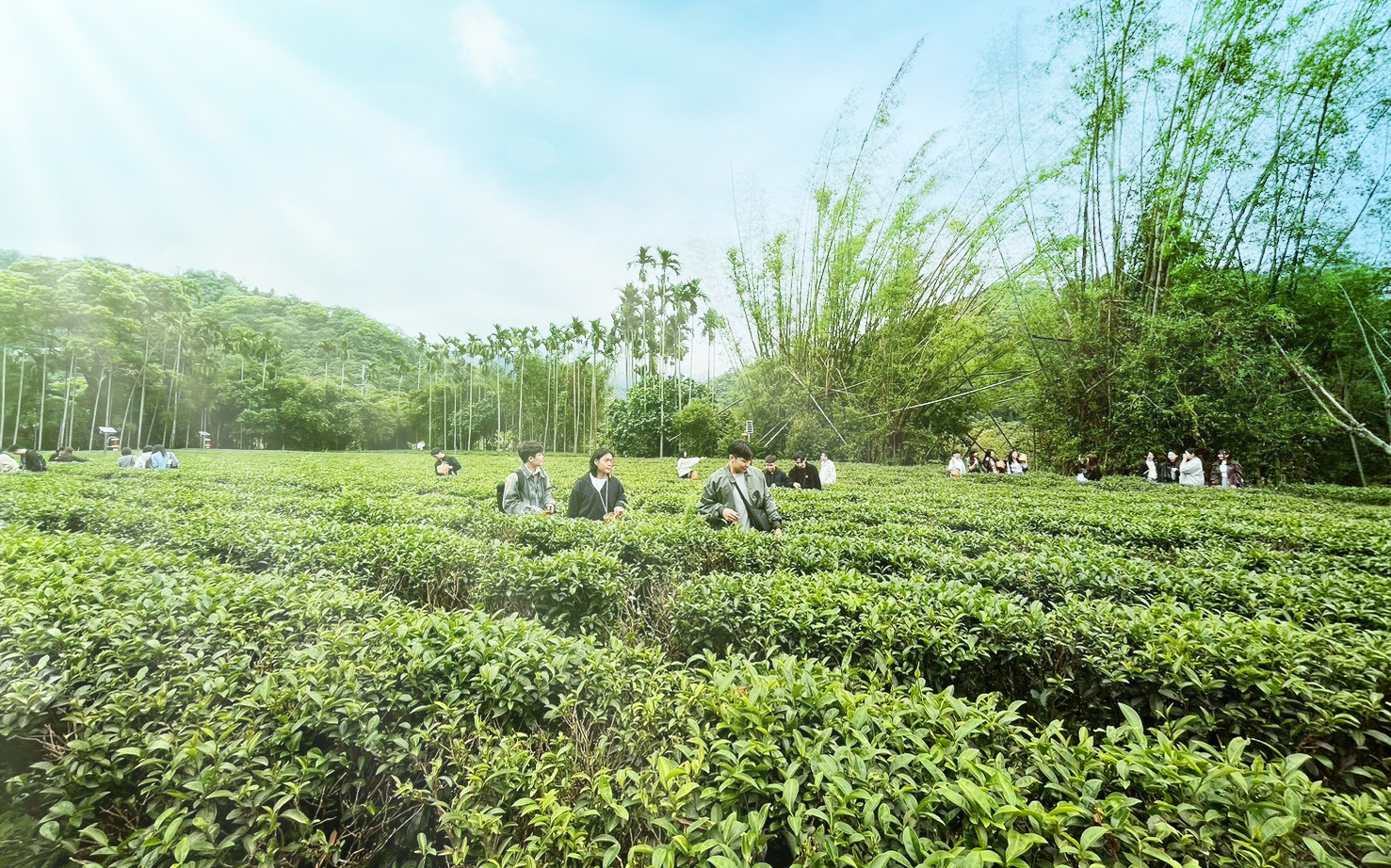 資誠 第三大隊_260402_27.jpg