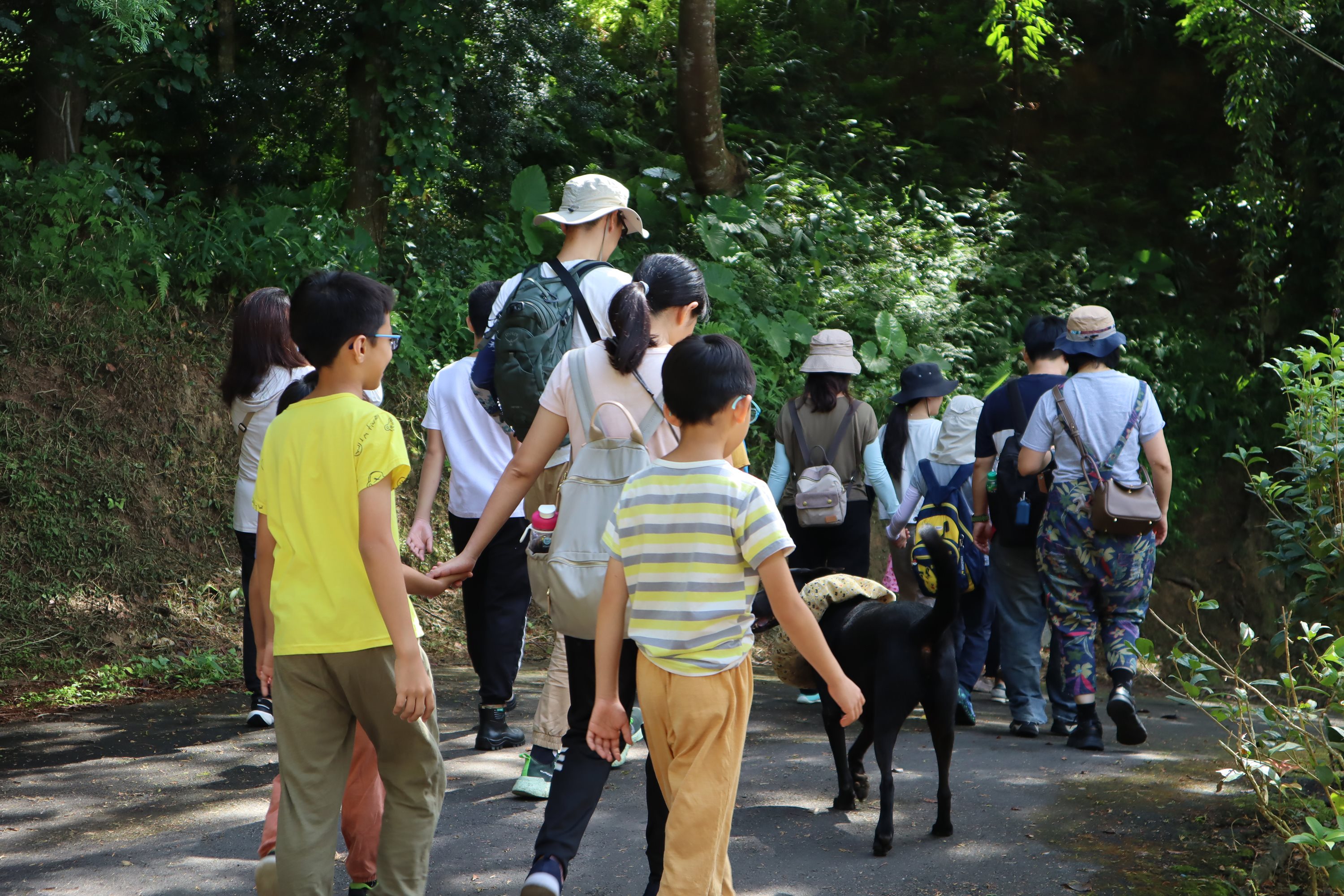 山村記憶｜五寮聚落、礦業遺址與大豹社歷史走讀