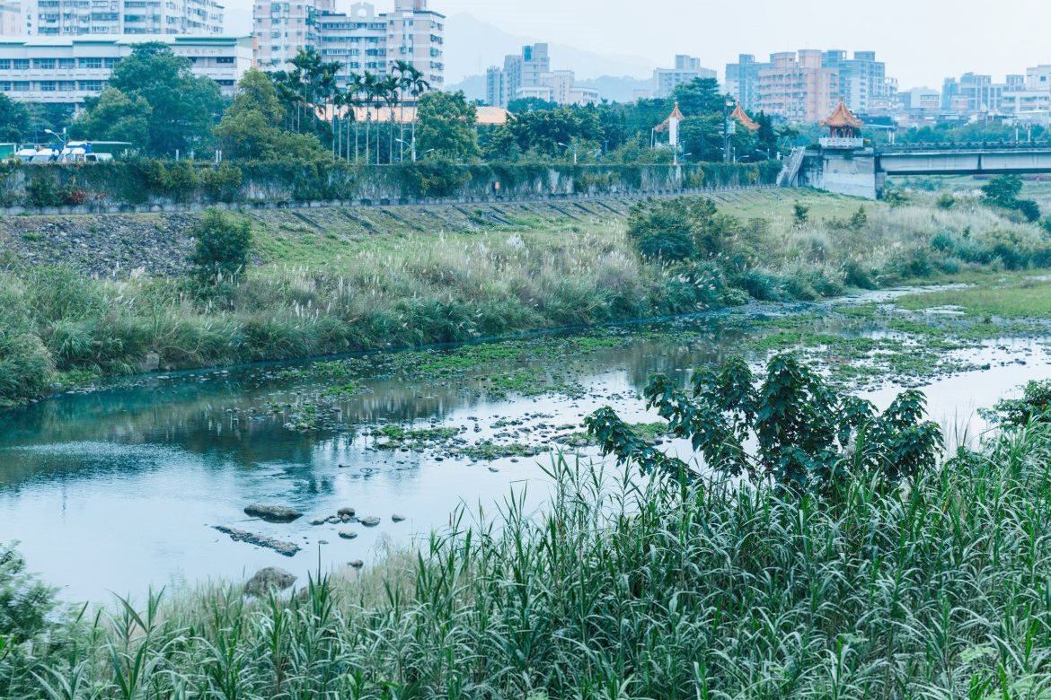 山河生態｜三峽河觀鳥與永續生活慢旅